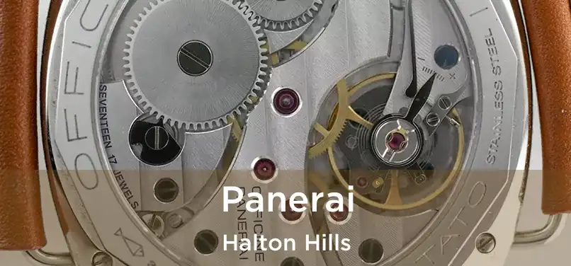  Panerai Halton Hills