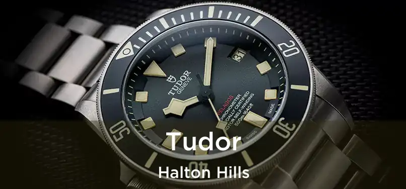  Tudor Halton Hills